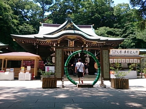 hbcxk453fx6in9cegapf_480_480-408fb99e.jpg