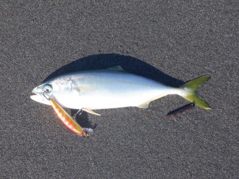 hbjftcjerzcfm3uvxztv_480_480-4cc4b0d6.jpg