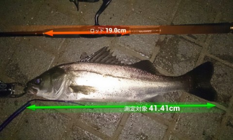 hbkcxw2vju9o3zpp4gov_920_554-fc94045d.jpg