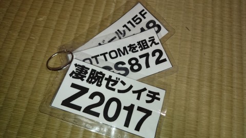 hbotfmw4yatc5sigzcxn_480_480-1eda9dfc.jpg