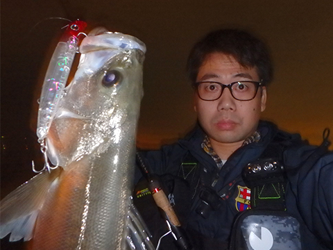 コモモ125カウンター