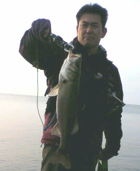 hby9su8223e2pwvvc2he-340666bf.jpg