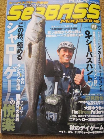 hc3a56hrkg5swbynezai_480_480-91a76e85.jpg