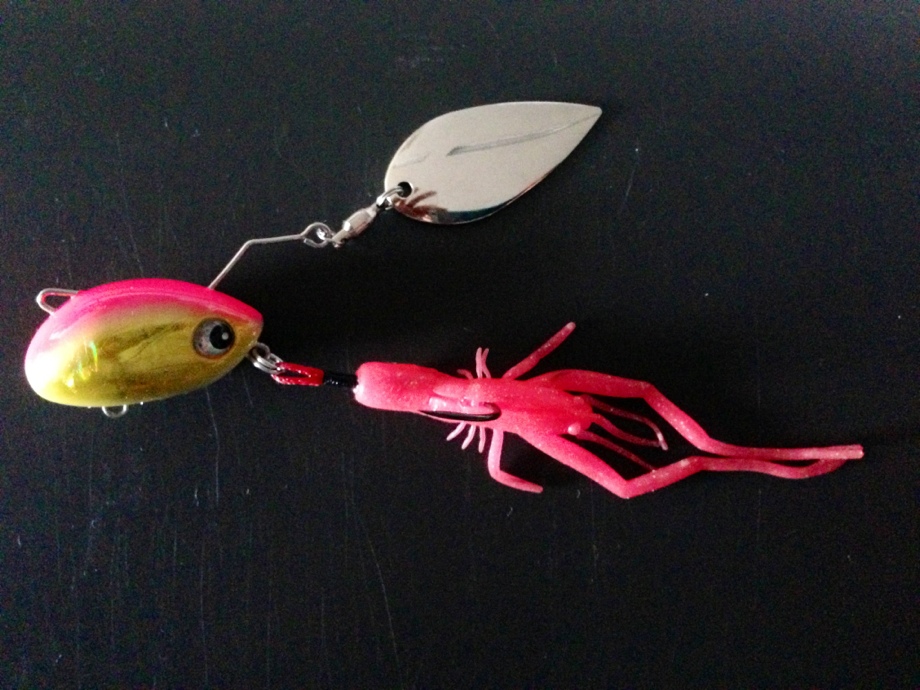 Daiwa Swチーム 魚魂で遊ぼう