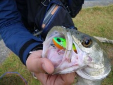 hcksmjchiuy3rd3fkcwy_920_690-59b04a89.jpg
