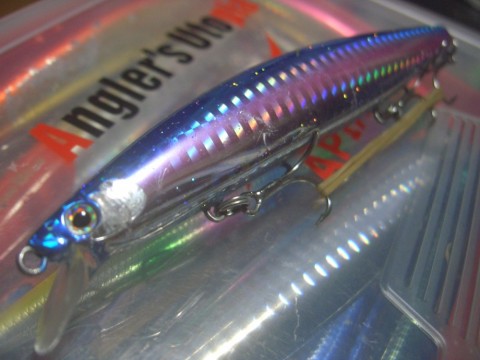 hdbdwnawzfmds7fxowek_480_480-b27e4e48.jpg