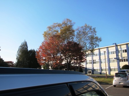 hdkf4beuzottsg6pisun-095fb9c0.jpg