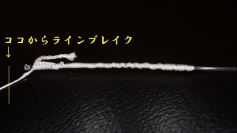 hdu97irjvn5hd3wbbpmz_480_480-98880c08.jpg