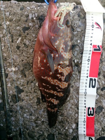 hduwy82ncncprbezxozt_690_920-ff2431f9.jpg