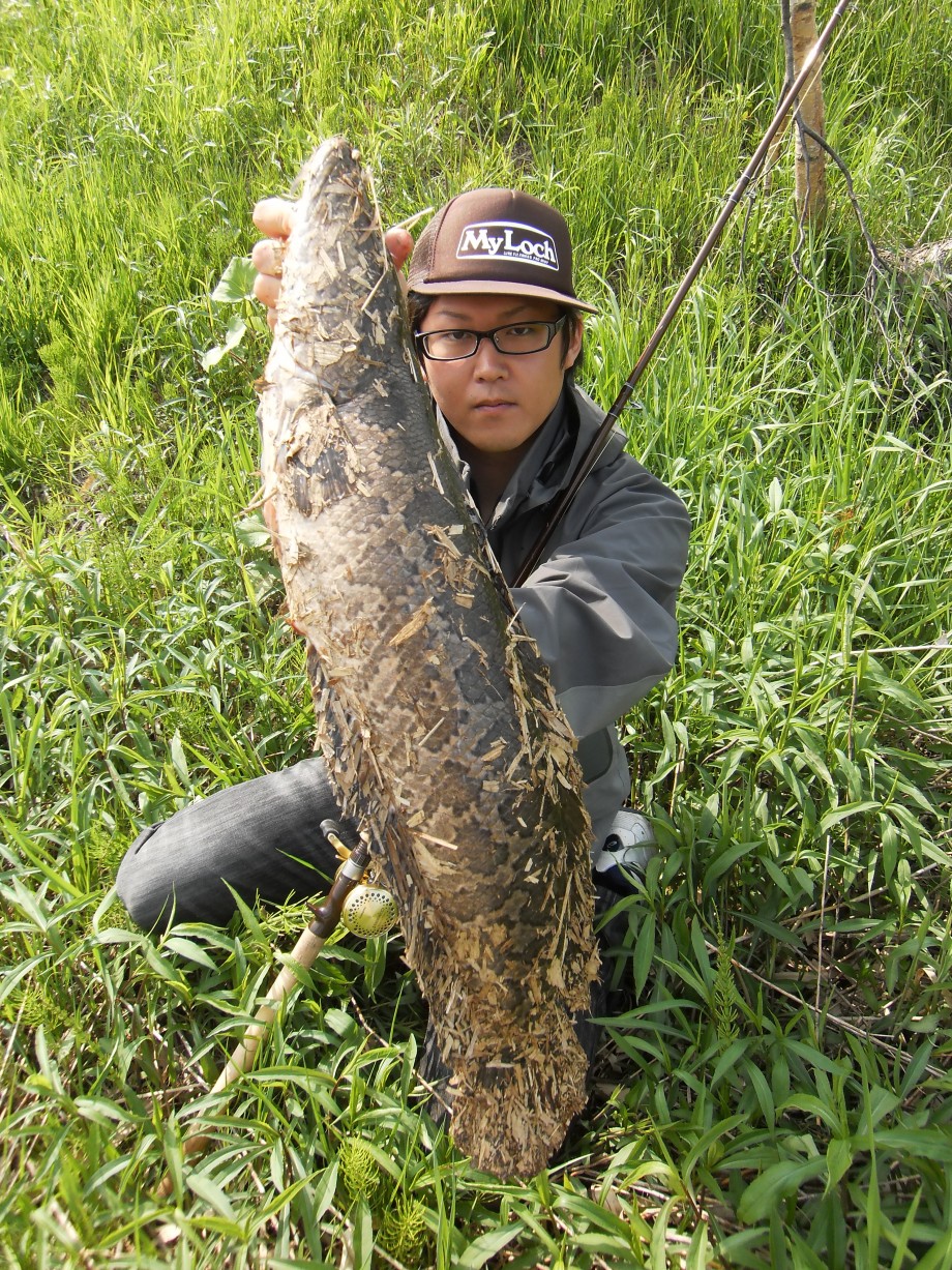 マイロッホのブログ 雷魚開幕