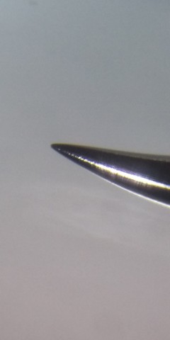 he95udho2bukinpr84pv_480_480-8256317b.jpg