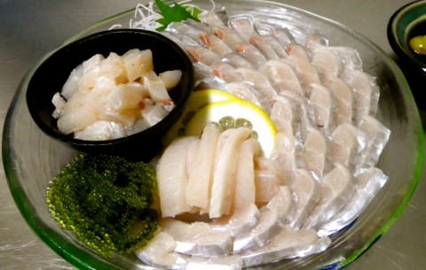 heicsi6jkpogv2pwbzpi_480_480-7f808f4a.jpg