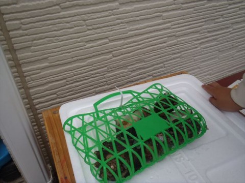 hepjay272j8xigf8zsz3_480_480-2ff24762.jpg