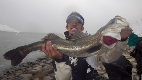 hf37mr9y9ogyornnbuao_480_480-9126612e.jpg