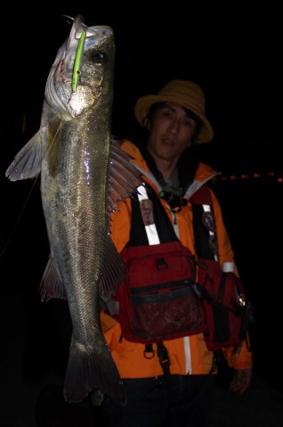 hf9zck43w2fktm4wghe2_480_480-c2468611.jpg