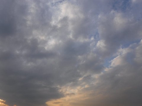 hffwzyn35akuvoprs2f6_480_480-a142ba12.jpg