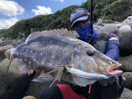 Fishing under the blue sky 】 ブルーブルーから発売！！スカー