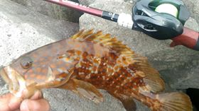 hfuo8xfh7xxyr4uu2bth-27a0a6e8.jpg