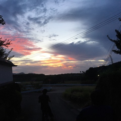 hg757efup685b3p5noe8_920_920-cb87df18.jpg