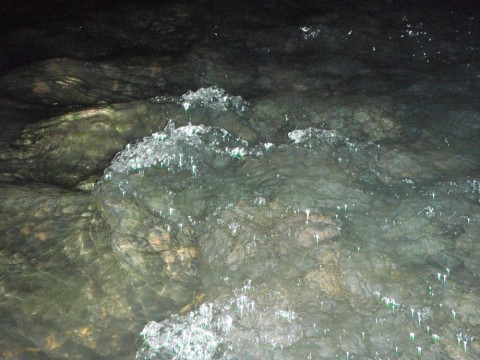 hghtwxswoe6o42vh56b3_480_480-3fc51d0e.jpg