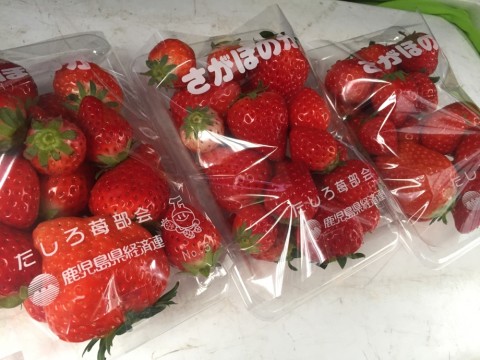 hgsd7pivwf37nv7yyhku_920_690-d4cb4fba.jpg