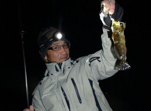 hgszxpri7d28623toiki_547_404-e53dc5d5.jpg