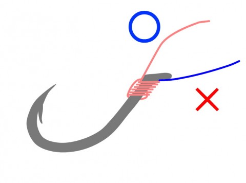 hgziwg7mkwb8gf24x6oo_480_480-aa424686.jpg