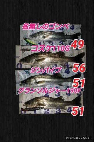 hgzmg3aftd9kd6irvifp_480_480-917e32eb.jpg