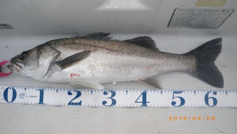 hh28p5es3fwjffayvori_480_480-21cb0380.jpg