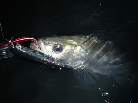 hhge2892afe9cahp29wx_640_480-34aabf05.jpg