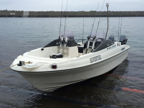 hhrjgdsvaoeg89kdc7gk_480_480-e03ab10d.jpg