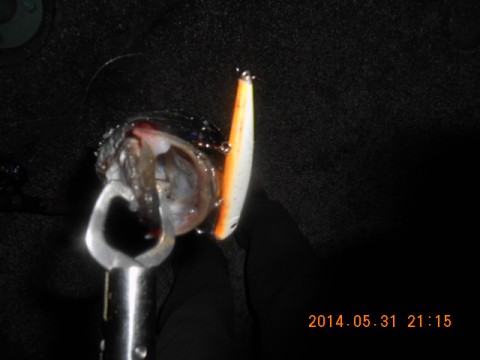 hhruvn9tpkaav5nsjcnu_480_480-2609450f.jpg