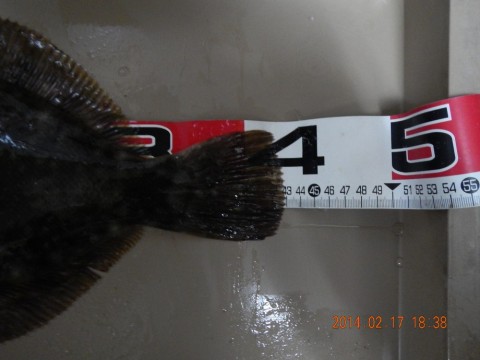 hi5uci5fa5p4gvoet255_480_480-1e48c37f.jpg