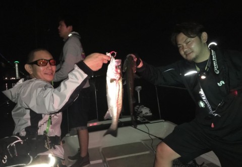 hihti68ng7394fry2pwk_480_480-371ad2c3.jpg