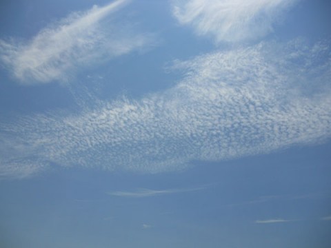 hiibtnrvuxayt7iby2z5_480_480-7ae44710.jpg