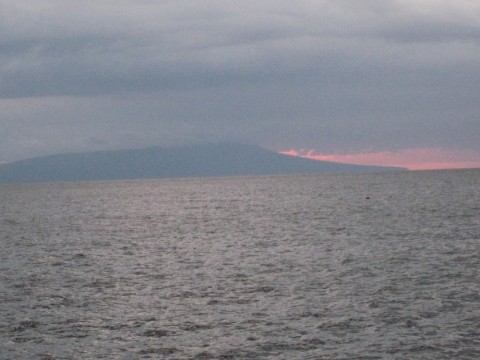 hijh6po5txkxodgkusrz_480_480-28612d04.jpg