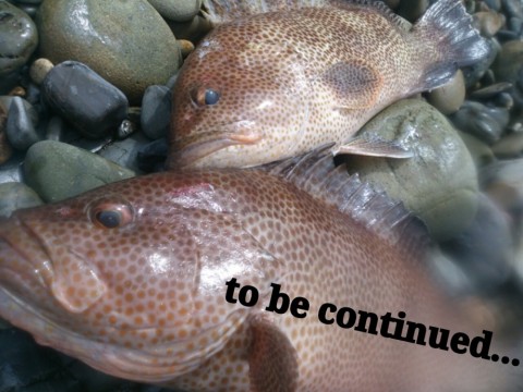 hikzxcptjephkinetnpa_480_480-ab7b37ca.jpg