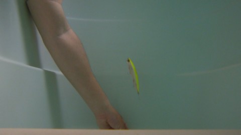 hj2yzfnvdkbhrwym9hrk_480_480-dfdb9a20.jpg