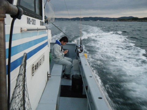 hj654tfy2izvzifbki7z_480_480-85e9ea4d.jpg