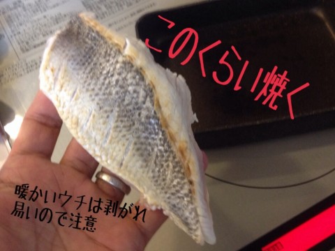 hj6nvr8cy2jz47vb445f_920_690-3191d7ba.jpg