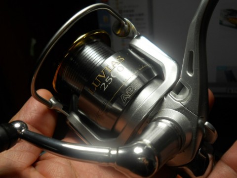 hj75ucc553x9c3kv9mmv_480_480-926a92df.jpg