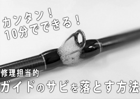 hj8cf9ozha4f8xb9w6as_480_480-798a0e8f.jpg