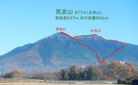 hj98hd96vswkr3akkz8h_480_480-27d6be46.jpg