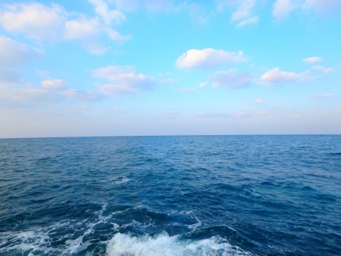 hjabeo9pnjzahurt95m6_480_480-d18494e4.jpg