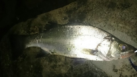 hjiu49i3c5yfjtmib4ve_920_518-f08b209c.jpg