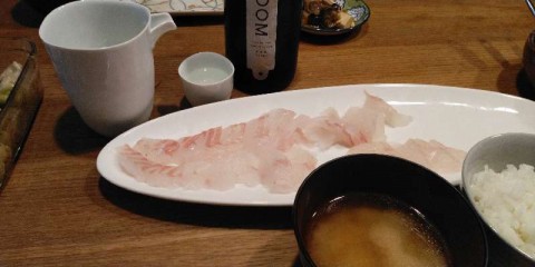 hjnjra8i4htk42tdsd47_480_480-485db844.jpg