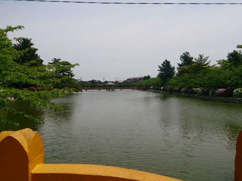 hjovh9cun8jzxxa443zp_920_690-b9d5b299.jpg
