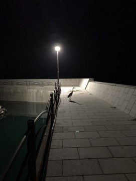 hjtxkcguorsp97y3jbwi_361_480-450e7524.jpg