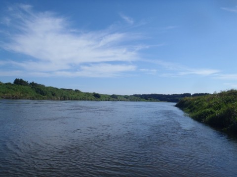 hjvp4wkt7w2dtpdu6wti_480_480-7088f8f1.jpg