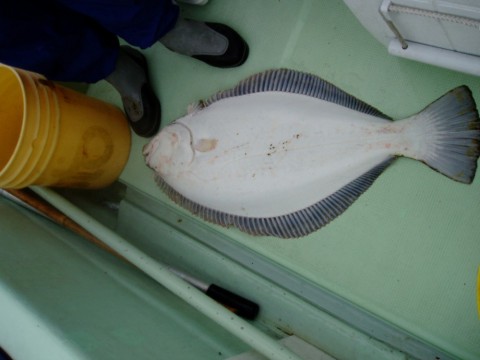 hjxithcvsggeyo22zo33_480_480-540c75c9.jpg